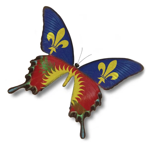 Guadeloupe Flagge auf Schmetterling — Stockfoto