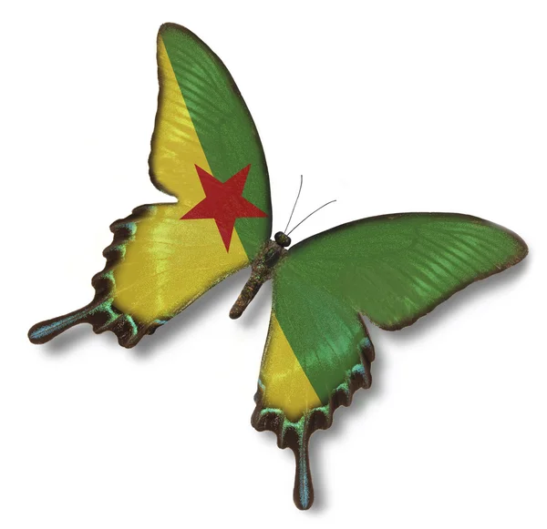 圭亚那国旗上蝴蝶 — 图库照片