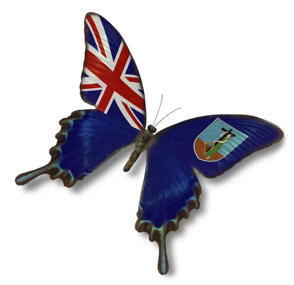 Montserrat flag on buterfly — Stock Photo, Image
