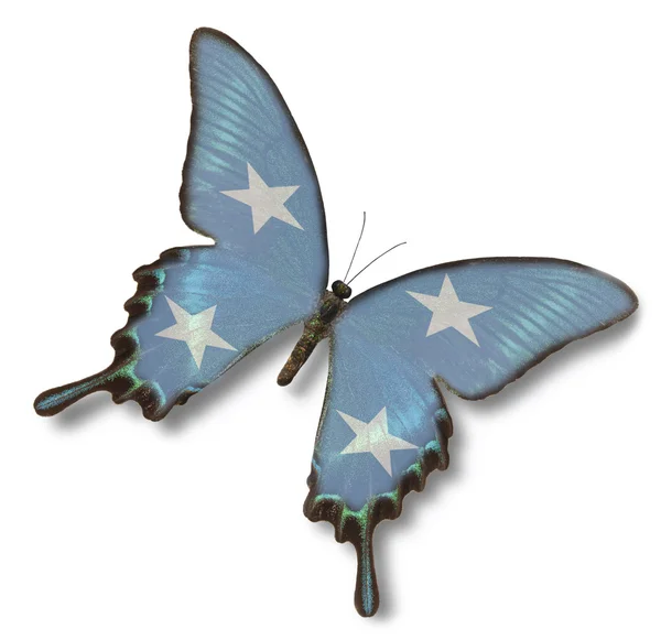 Mikronesien-Flagge auf Schmetterling — Stockfoto