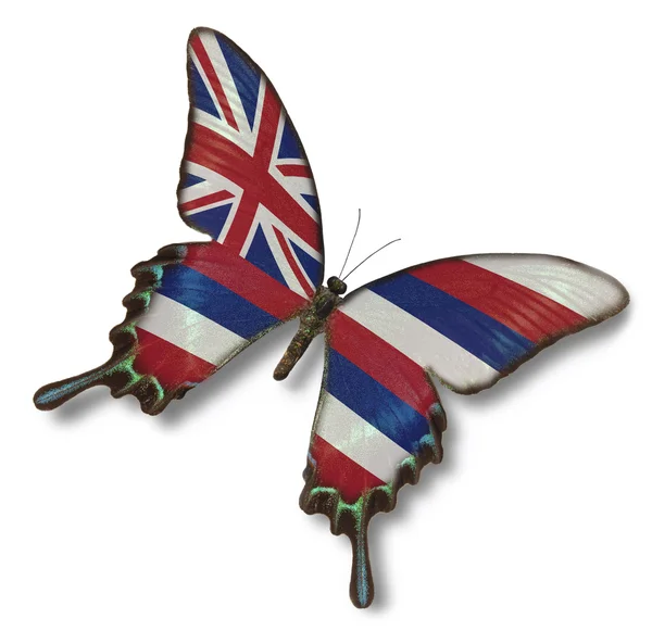 Bandera de Hawaii sobre mariposa — Foto de Stock