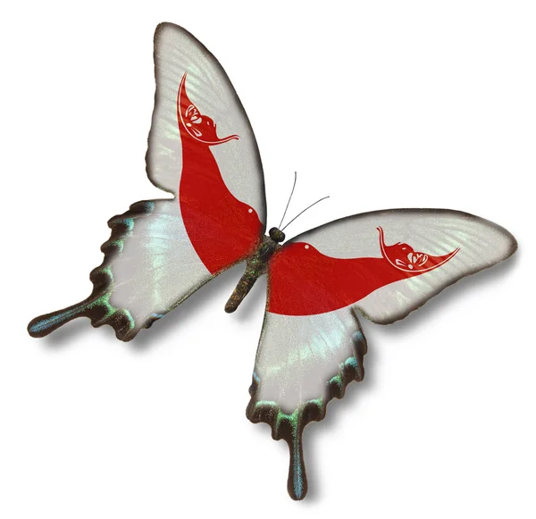 拉帕努伊旗上蝴蝶 — 图库照片