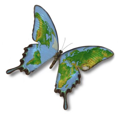 Map of Earth on butterfly clipart