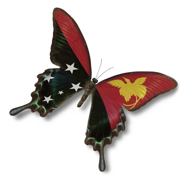 巴布亚新几内亚国旗上蝴蝶 — 图库照片