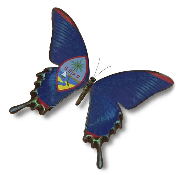 Флаг Гуама на бабочке — стоковое фото