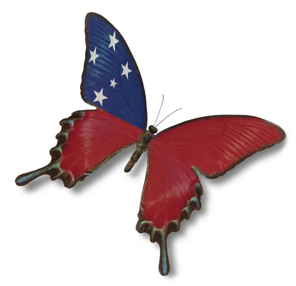 Samoa flag on butterfly — Stock Photo, Image