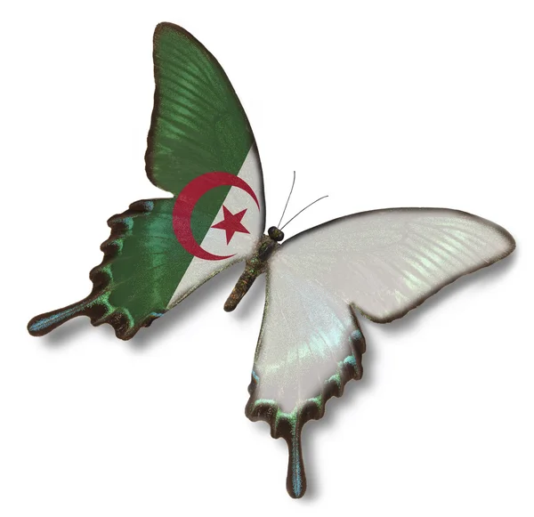 Algeria flag on butterfly — Stock Photo, Image