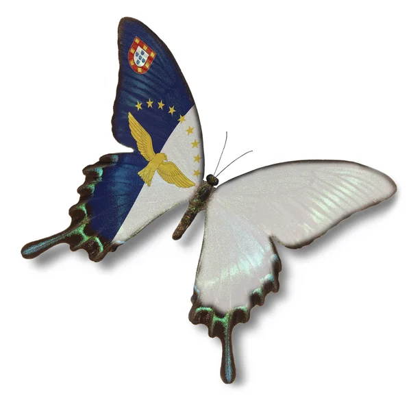 Azores flag on butterfly — Stock Photo, Image