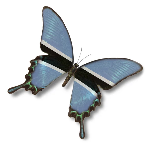 Bandera de Botswana sobre mariposa — Foto de Stock