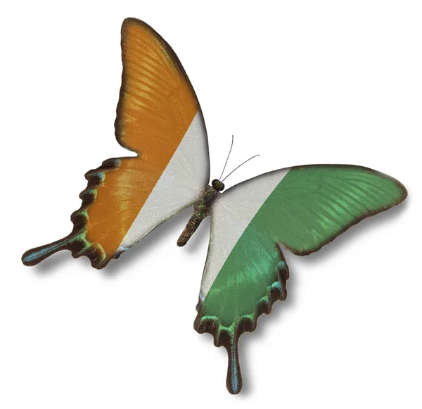 Cote d 'Ivoire flag on butterfly — Stock Photo, Image