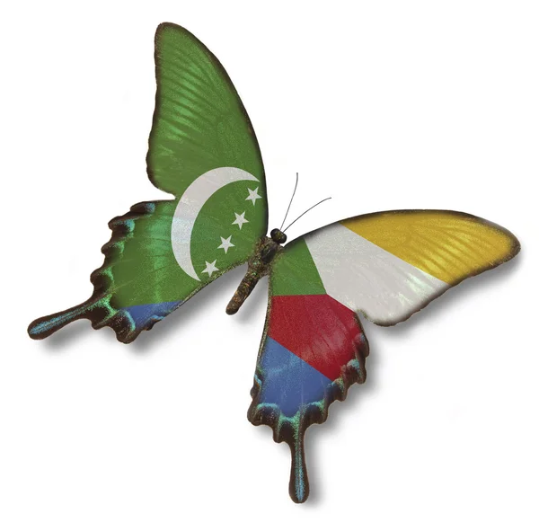Komorská vlajka na motýla — Stock fotografie