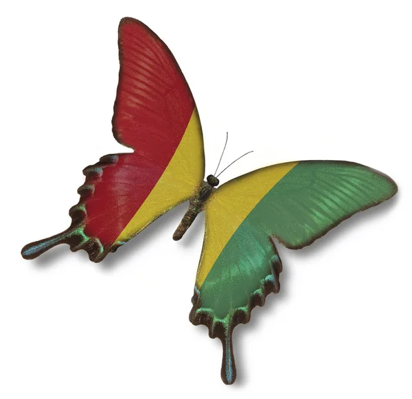 几内亚国旗上蝴蝶 — 图库照片