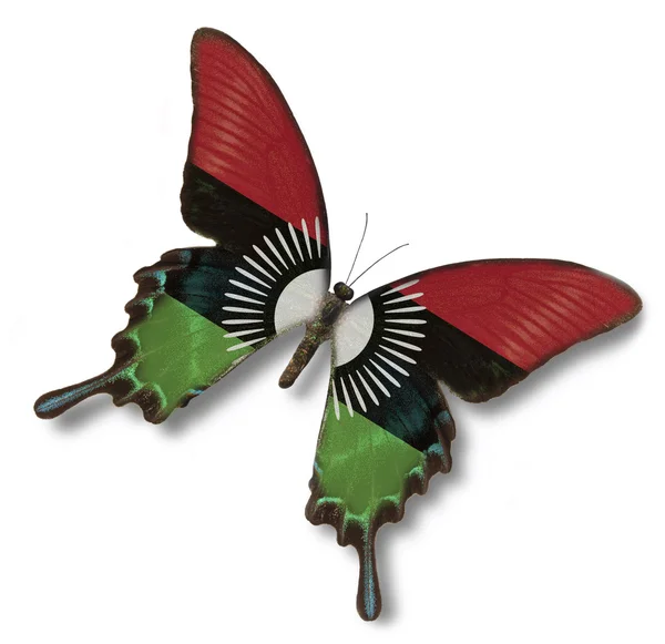 马拉维国旗上蝴蝶 — 图库照片