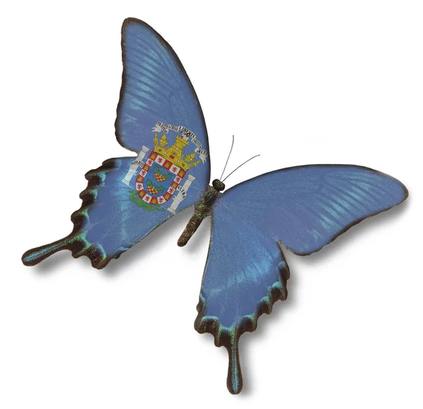 梅利利亚国旗上蝴蝶 — 图库照片