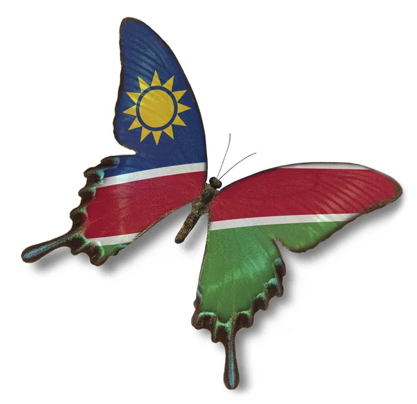 蝶にナミビアの国旗 — ストック写真