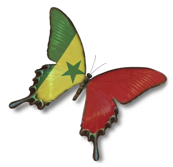 Bandera de Senegal sobre mariposa —  Fotos de Stock