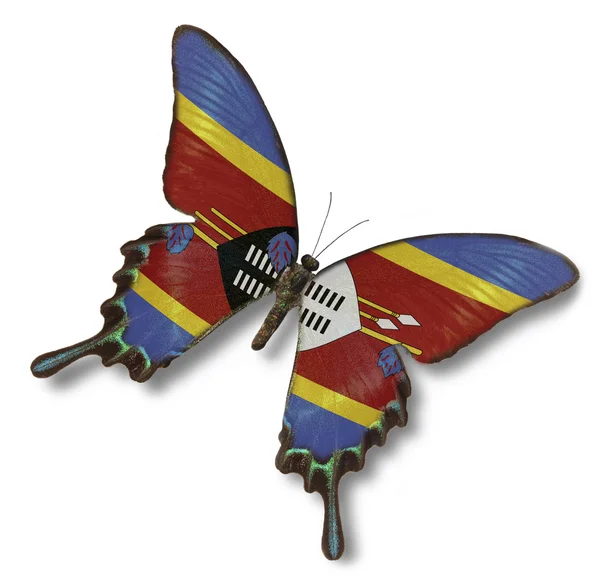 斯威士兰国旗上蝴蝶 — 图库照片