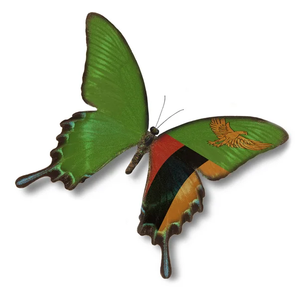 Zambia flag on butterfly — Stock Photo, Image