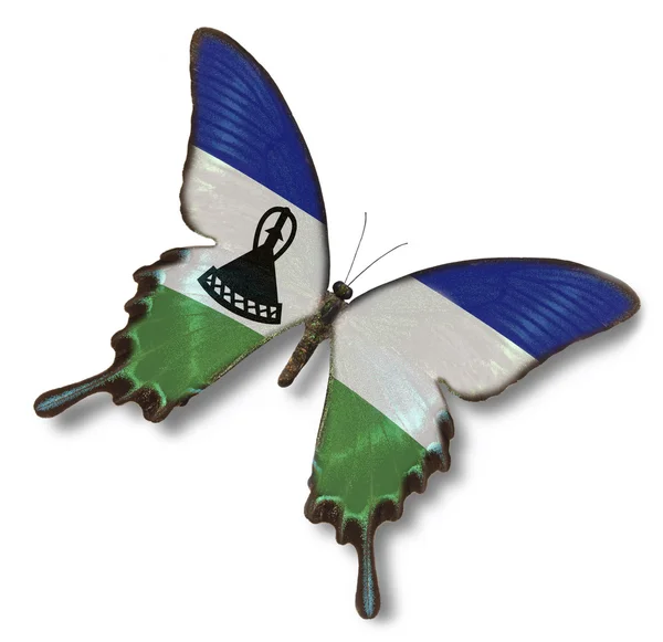Lesotho flag on butterfly — Stock Photo, Image