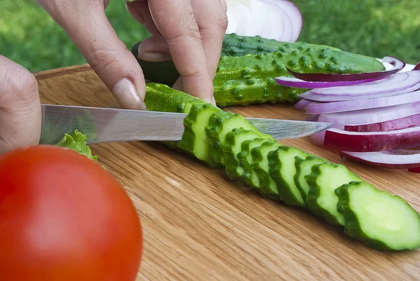 stock image Picnic