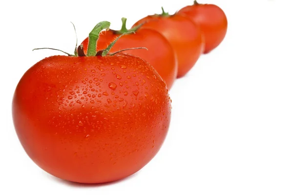 Linea di pomodori — Foto Stock