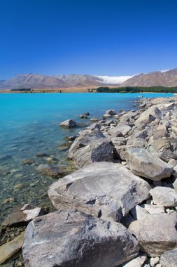 Lake Tekapo, New Zealand clipart