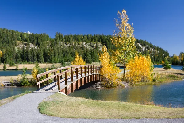 Hösten i banff national park, alberta, Kanada — Stockfoto