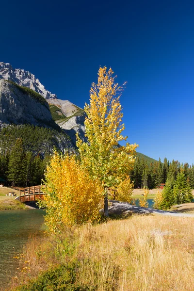 Podzim v banff národní park, alberta, Kanada — Stock fotografie