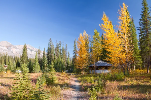 Słoneczny dzień jesieni w parku narodowym kootenay, Kanada — Zdjęcie stockowe