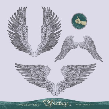 Wings vector set for decoration and design clipart