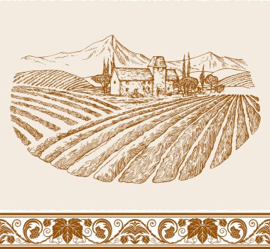 Vintage wine label background with sketch of old chateau, landscape with village and vineyard, grapes floral ornament for decoration and design clipart