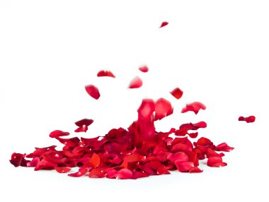 Rose Petals clipart