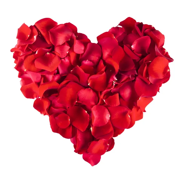 stock image Red Rose heart