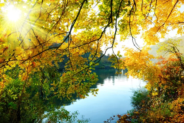 秋天的神奇颜色 — 图库照片