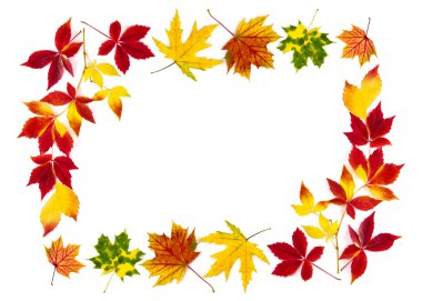 Colorful autumn leaves building a frame clipart