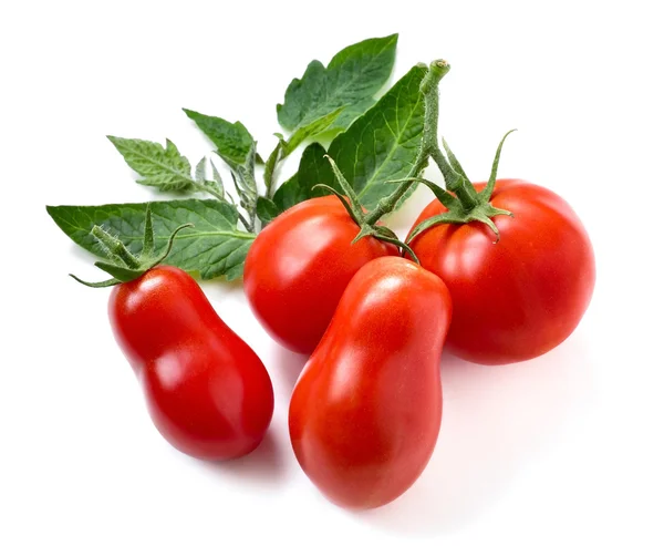 Rijpe tomaten met bladeren — Stockfoto