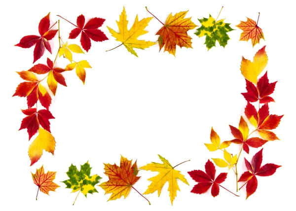 Épület egy frame színes őszi levelek — Stock Fotó