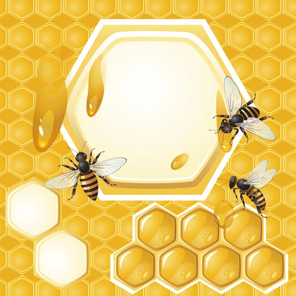 与蜜蜂和蜂窝背景 — 图库矢量图片