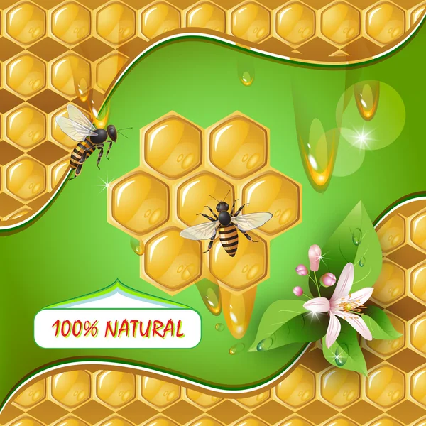 Sfondo con api e favi — Vettoriale Stock