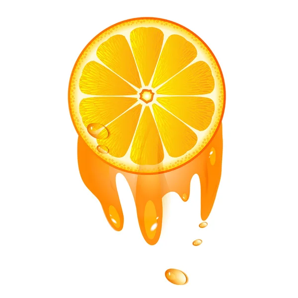 Rebanada jugosa de fruta naranja — Vector de stock