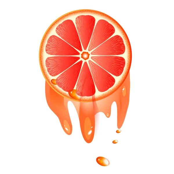 Saftige Scheibe Grapefruit — Stockvektor