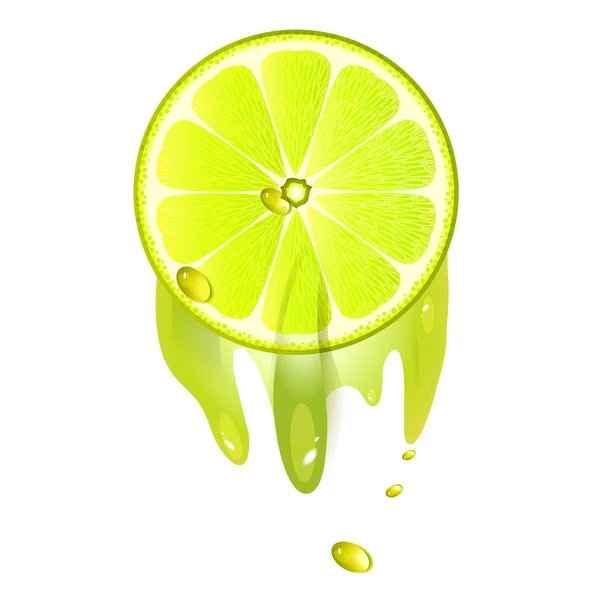Rebanada jugosa de fruta de limón — Vector de stock