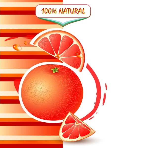 Background with fresh grapefruit — Stock Vector