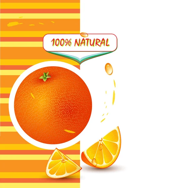 Background with fresh orange — Stock Vector