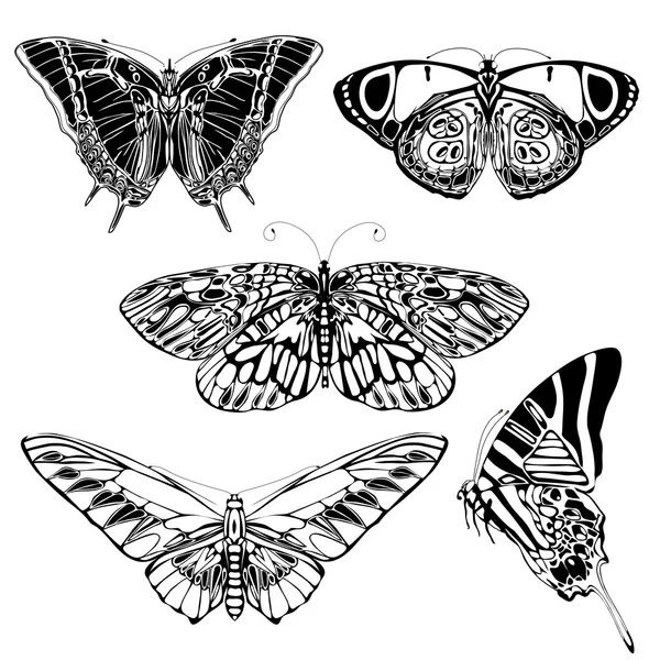 Szett-fekete-fehér pillangók — Stock Vector