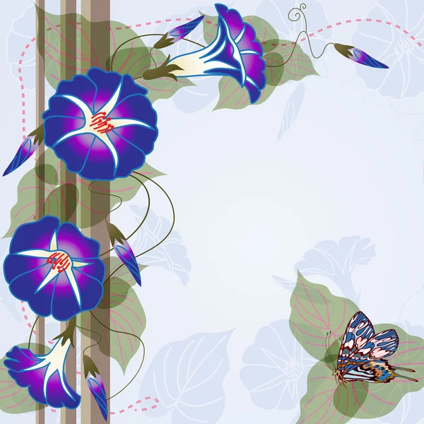 아름 다운 나팔꽃과 나비 배경 — 스톡 벡터