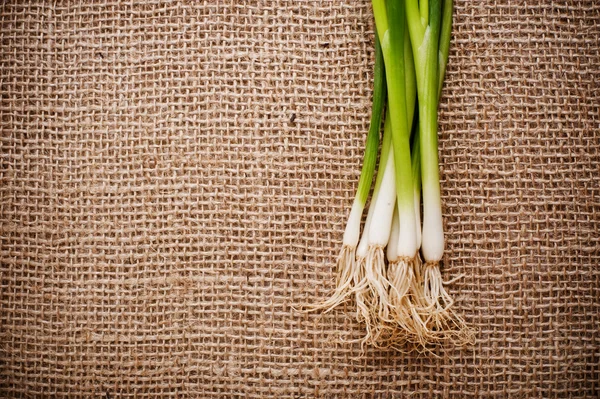 Green onions — Stock Photo, Image