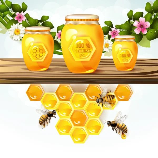 玻璃罐和蜂蜜 — 图库矢量图片
