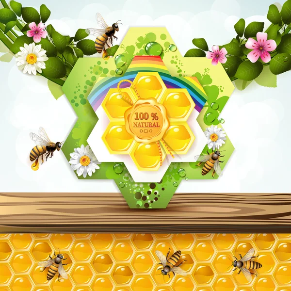 Bijen en honingraten — Stockvector