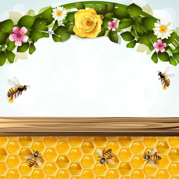 Abeilles et nids d'abeilles — Image vectorielle